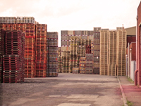 Used Pallets